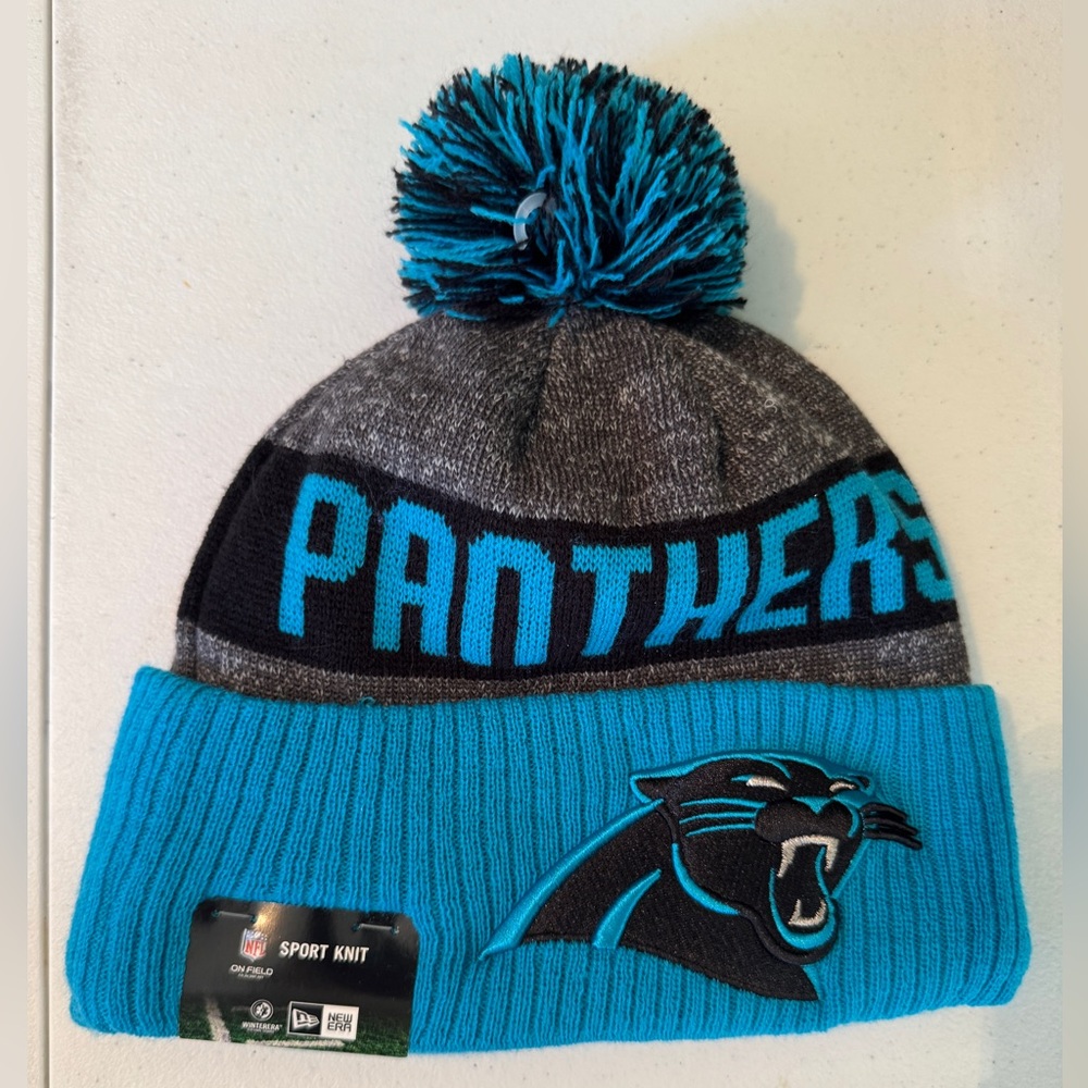NFL Carolina Panthers Blue and Gray Knit Beanie